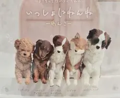 いっしょにねんね　わんこ 2種セット