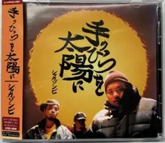 大神　大怪我　レコード 大神 / 大怪我 レコード ヒップホップ 日本語ラップ 邦楽