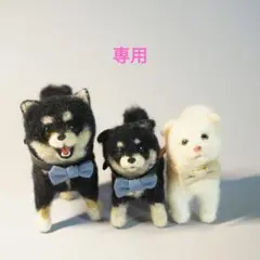 ★専用★　柴犬セット　蝶ネクタイ付き