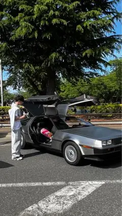 ロサンゼルスアパレル パーカーロスアパ グレー　Mサイズ