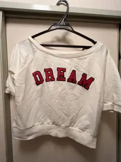 SPINNS DREAM刺繍クロップドTシャツ
