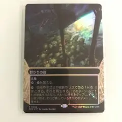 MTG 群がりの庭　土地R3枚　ボーダーレス　foil2枚、非foil1枚