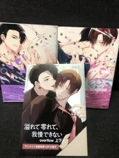 溢れて零れて、我慢できない overflow 上・下