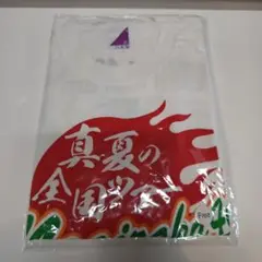 乃木坂46 真夏の全国ツアー　Tシャツ　フリー　2015