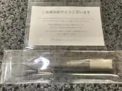 KOICHI DOMOTO CONCERT TOUR 2006mirror当選品
