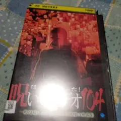 ほんとにあった呪いのビデオ104