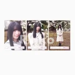 稲熊ひな 12th制服 コンプ 3種 生写真 櫻坂46