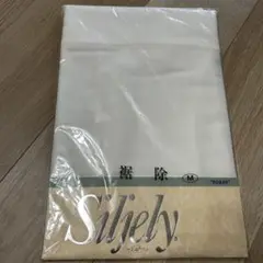 Item thumbnail for item c057d21e-a968-4181-8359-13f1ffe8c723