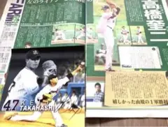 ヤクルトスワローズ 高橋奎ニ 丸ごとスワローズ&切り抜き 丸スワ
