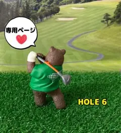 専用ページ⑥