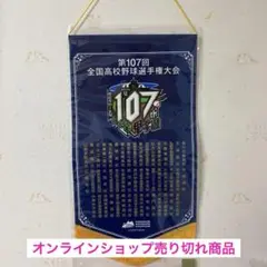 第107回選手権ベース型ペナント