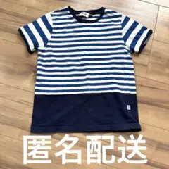 il gufo 半袖 Tシャツ ボーダー　イルグッフォ