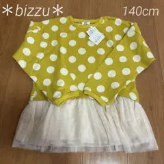 Item thumbnail for item bcbc4332-9081-4505-92ce-4796089938f1