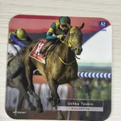 ウシュバテソーロ　競走馬コースター HUB netkeibaコラボ 競馬