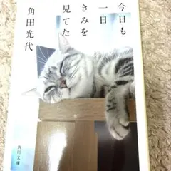今日も一日をきみを見てた 角田光代