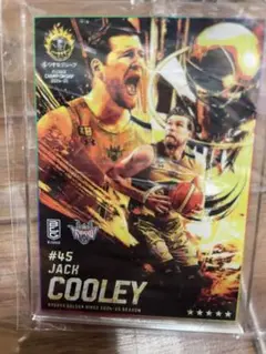 新品未開封　bリーグ　くじプラ　アクリルキーホルダー　琉球　クーリー　匿名配送