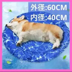Item thumbnail for item 0cfc25ea-aaf2-4787-92a9-c7539ec2bb61