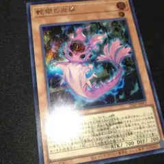 蛇眼のポプルス　スネークアイ　遊戯王　ロゴ　シークレット　WCS2025