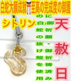 Item thumbnail for item 06fb7bcf-7e5a-45d9-92cc-43610e673157