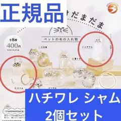 【当日発送】ハチワレ シャム 2個セット うちの子のけだまだま【正規品】