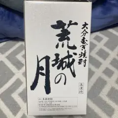 荒城の月 桜田門