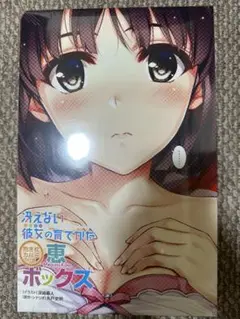 冴えない彼女の育てかた 恵ボックス Amazon.co.jp: カバー 冴えない彼女の育てかた 抱き枕カバー 恵