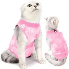 Item thumbnail for item 1a695099-2888-4b70-ba75-32edf16b80f2