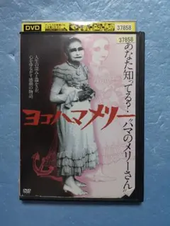 ヨコハマメリー DVD