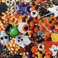 USAコットン Timeless Treasures ハロウィン