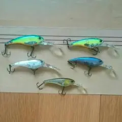 IS-WASP
