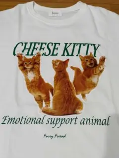 韓国製　こねこTシャツ　猫　ネコ