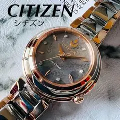 【美品】ディズニーシリーズ シチズン アナ雪 定価6.4万円 レディース腕時計