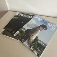 FIGARO 世界 2冊セット　リッキー　雑誌
