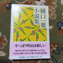樋口一葉小説集