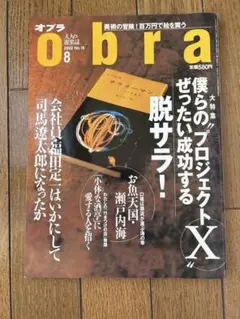bra 08号