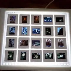 Item thumbnail for item c67ad6e3-e8b8-4e85-83ea-f85c850e839c