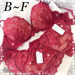 8/4再入荷❣️ヌーディーレース♥️全5色♬ブラジャー2ショーツセット✨