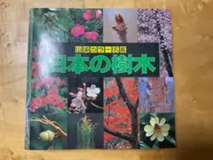 2025年最新】山と渓谷社日本の樹木の人気アイテム - メルカリ