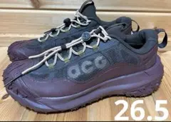 ナイキ ACG マウンテン フライ 2 LOW ゴアテックス