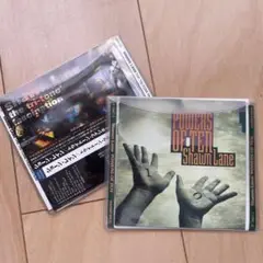 洋楽 Shawn Lane 1st,.2nd Shawn Lane | Spotify