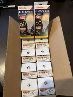 東芝 ミニクリプトン形LED電球 10個 LDA6L-G-E17/S/60W2