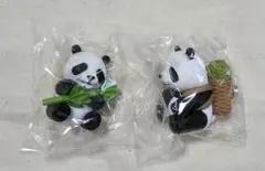 パンダ　マグネット