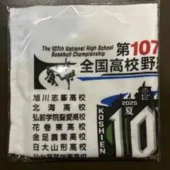 甲子園 タオルハンカチ