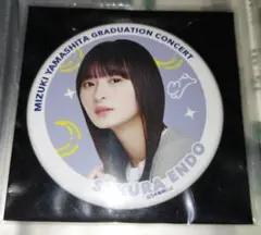 Item thumbnail for item 1f1c7133-10c5-4da7-a707-8ed837d2c5e9