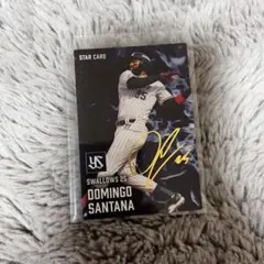サンタナ　スターカード　サイン入り　プロ野球チップス