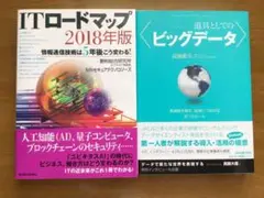 道具としてのビッグデータ ITロードマップ2018年版