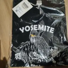 未使用新品М　ブラックＴシャツ　バーンズアウトフィッターズ　BR-24144