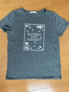 グレー　Ｔシャツ
