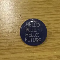 ANA hello blue hello future 2020 ピンバッジ