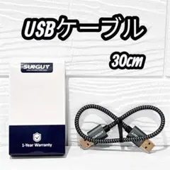 SUNGUY USB 3.0 ケーブル タイプAオス 30cm